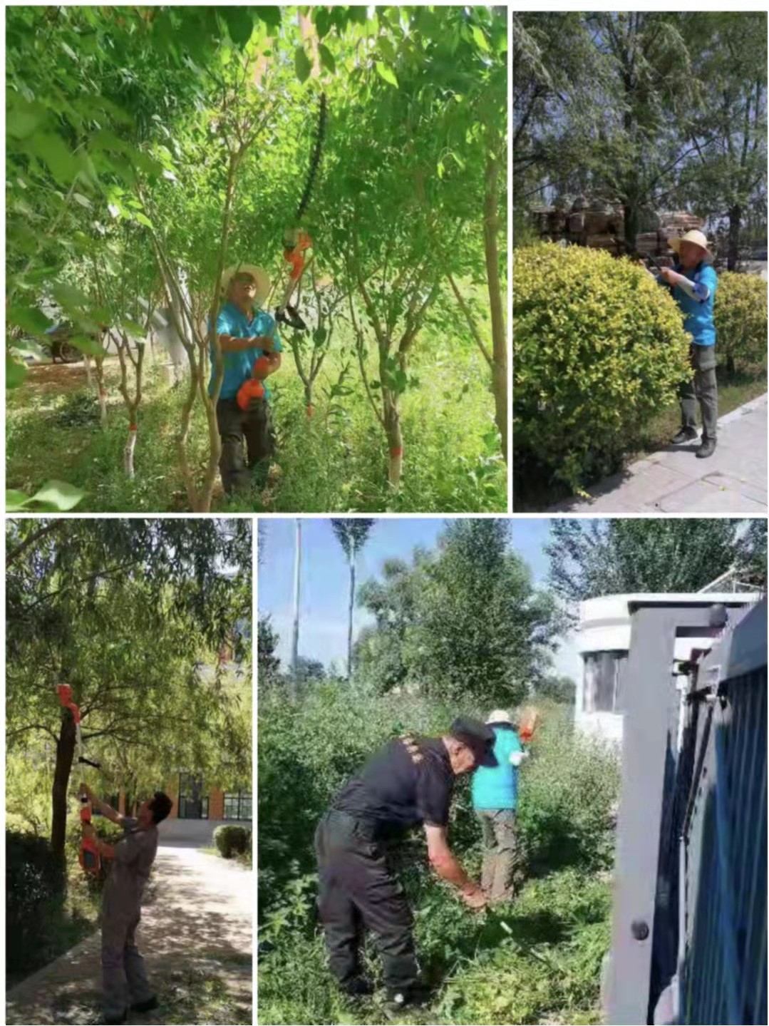 &#29615;&#29699;&#40;&#20013;&#22269;&#41;&#20307;&#32946;&#23448;&#26041;&#32593;&#31449;