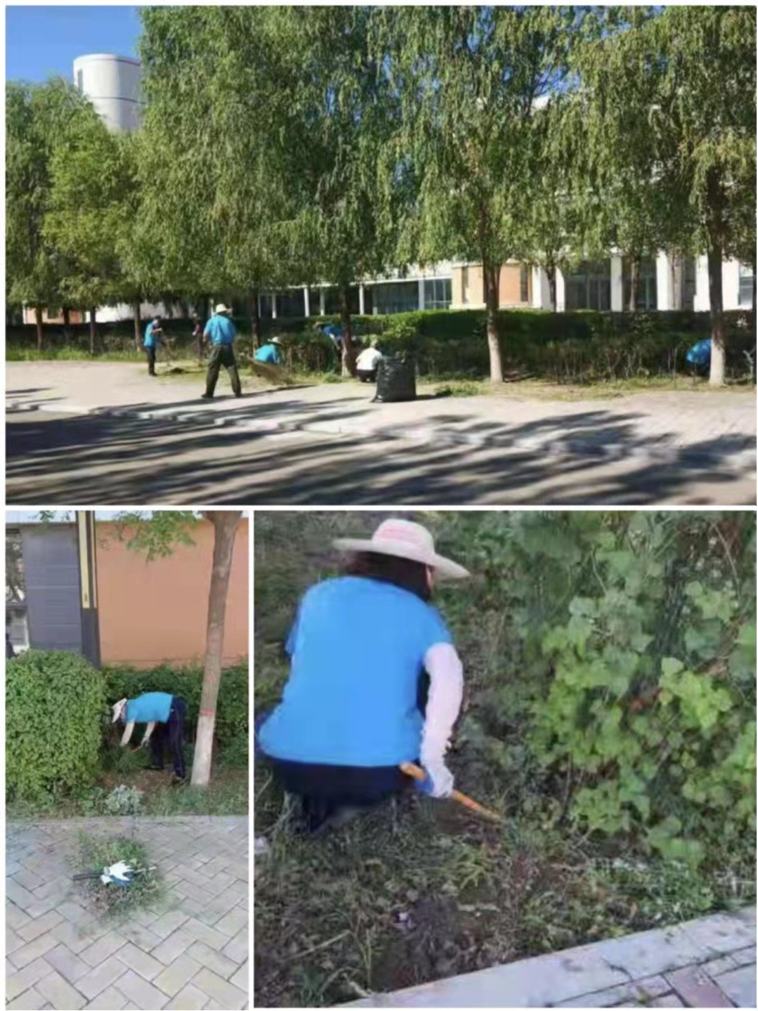 &#29615;&#29699;&#40;&#20013;&#22269;&#41;&#20307;&#32946;&#23448;&#26041;&#32593;&#31449;